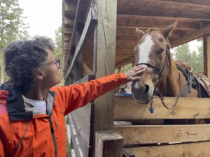 Read more about the article Custer State Park